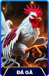78win soccer đá gà
